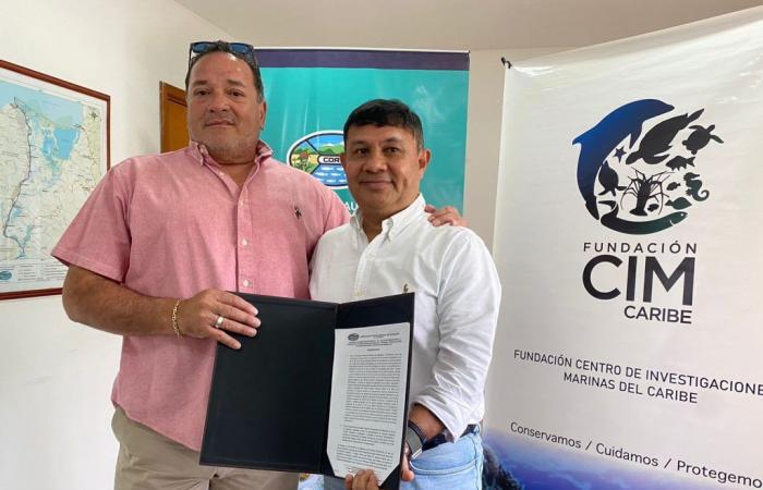 CORPAMAG sigla accordo con Fondazione CIM Caribe e Marine Life Center per la tutela delle specie marine