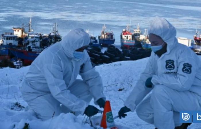 Trovano un uomo morto seminudo in mezzo alla neve a Punta Arenas | Nazionale