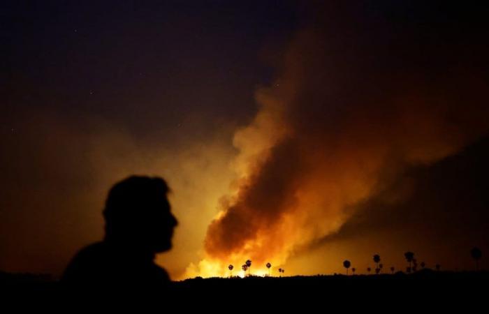 Esplosione di incendio nella zona umida più grande del mondo: brucia il Pantanal del Brasile
