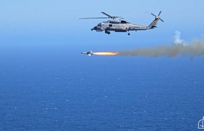 Viene registrato il lancio di missili e bombe Rb 12 Penguin da parte degli SH-16 e AF-1 Skyhawk della Marina brasiliana