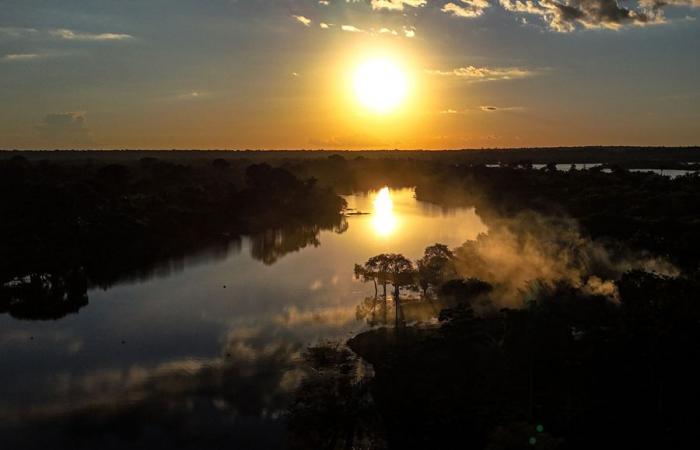 L’Amazzonia brasiliana chiede aiuto per far fronte all’imminente siccità