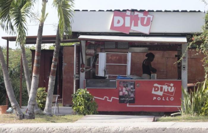 I famosi caffè Ditú tornano a Cuba dopo anni di abbandono