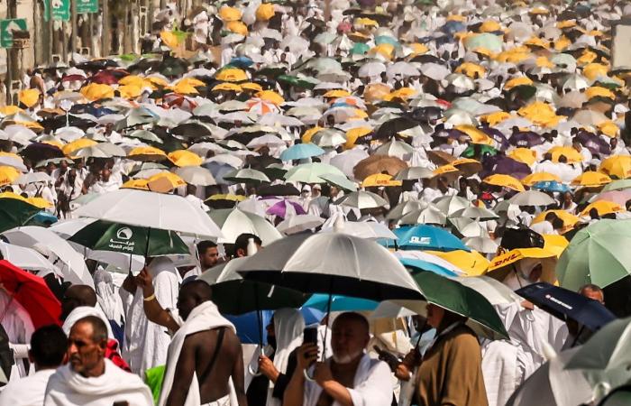 L’Arabia Saudita riporta più di 1.300 morti durante il pellegrinaggio alla Mecca