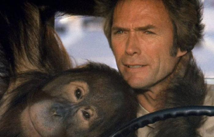 “Tutti mi hanno pregato di non fare quel film”: Clint Eastwood ha ignorato tutti e ha ottenuto il miglior successo della sua carriera – Movie News