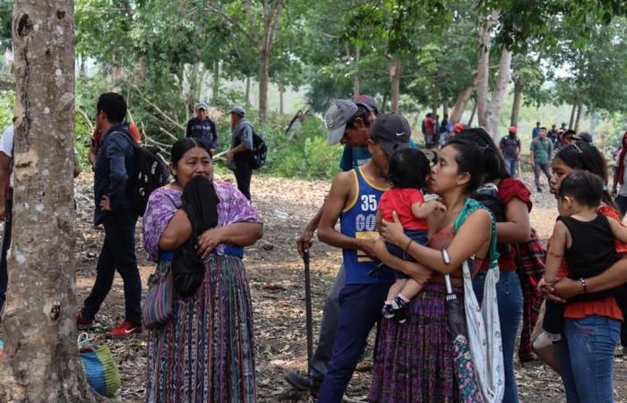 Gli sgomberi forzati continuano a colpire le comunità in Guatemala (+Foto)