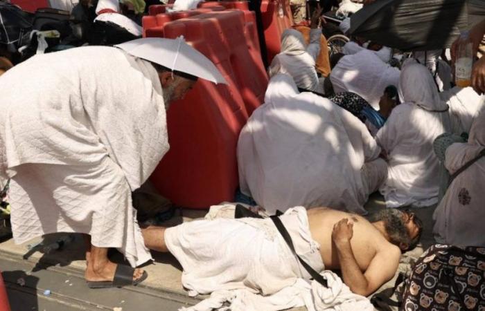 Più di 1.300 morti durante il pellegrinaggio haj alla Mecca in Arabia Saudita a causa del caldo intenso