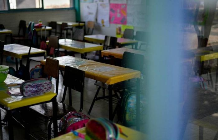 Le autorità educative devono affrontare il bullismo degli insegnanti nei confronti degli studenti in SLP: rappresentante – El Sol de San Luis
