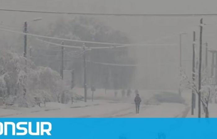 Allerta per nevicate e venti oltre i 100 km/h a Chubut: quali città colpirà – ADNSUR