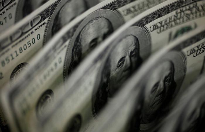 Il dollaro blu è salito e ha stabilito un nuovo record nominale