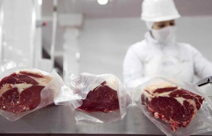 Córdoba ha ricevuto 764,4 tonnellate di carne da esportare in Europa, 40 tonnellate in più rispetto a quest’anno