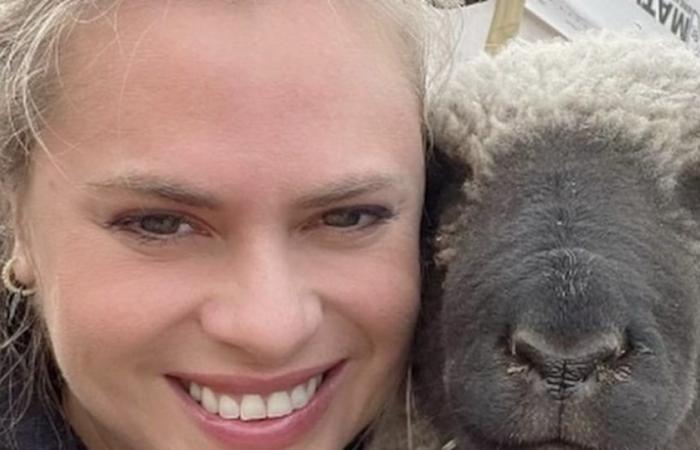 Eliana Albasetti ha reagito alle critiche per non aver offerto una ricompensa per recuperare il suo animale rubato – Publimetro Cile