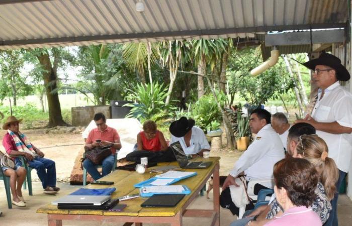 Associazione Agrotocaría a Yopal: rafforzamento e formalizzazione per lo sviluppo agricolo