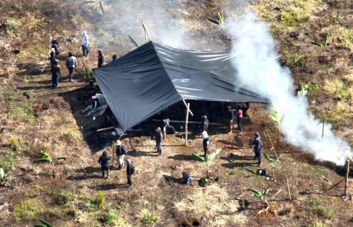 Il Consiglio delle Corporazioni denuncia le invasioni illegali nelle terre contadine di Cajibío e Caloto, Cauca