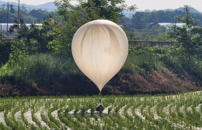 La Corea del Nord continua a inviare palloncini che trasportano rifiuti verso il Sud