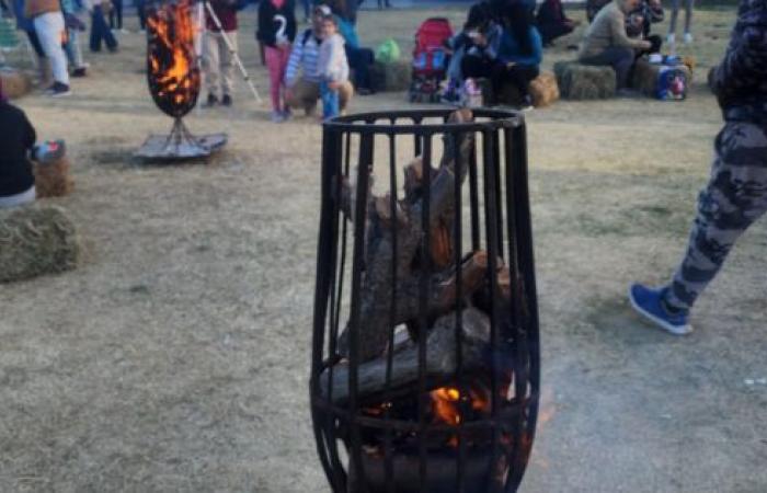 Rinnovamento incruento di Chacabuco e Maipú: il Festival dell’Invaiatura – Mendoza News