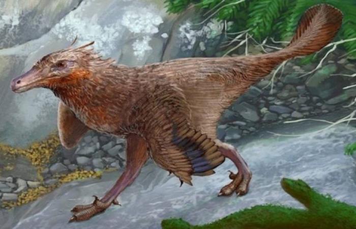 il dinosauro ritrovato a Neuquén che è fondamentale per comprendere l’origine degli uccelli
