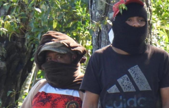 Gli indigeni Misak hanno invaso tre fattorie, di proprietà di una multinazionale, nel Cauca