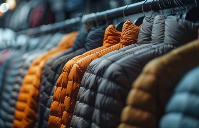 Un supermercato vende giacche invernali importate a partire da 15.000 dollari e con uno sconto del 60%: come acquistarle