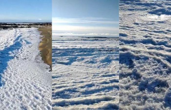 Il mare della Terra del Fuoco era ghiacciato a causa delle basse temperature
