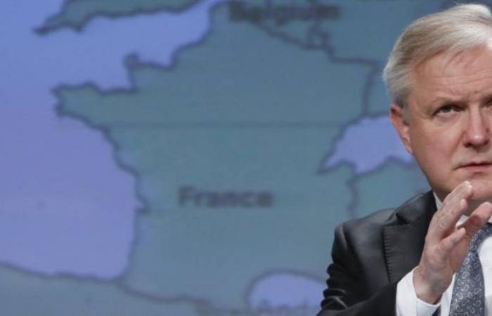 Rehn (BCE) ritiene “ragionevoli” altri due tagli dei tassi nel 2024 | Mercati finanziari