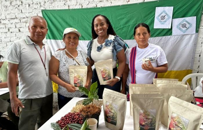 Il governo ha aperto il bando Valle Café, verranno rinnovate oltre 7 milioni di piante di caffè –