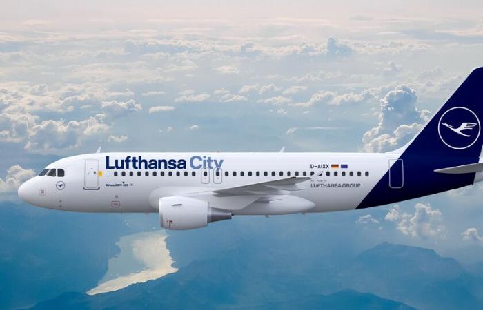 Dopo valigie e posti a sedere, Lufthansa ha trovato un altro modo per rendere più cari i biglietti aerei: 72 euro per le emissioni