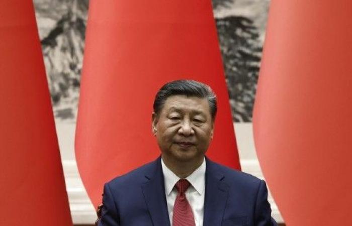 Milei non si reca in Cina e ora scommette di incontrare Xi Jinping al G20 in Brasile