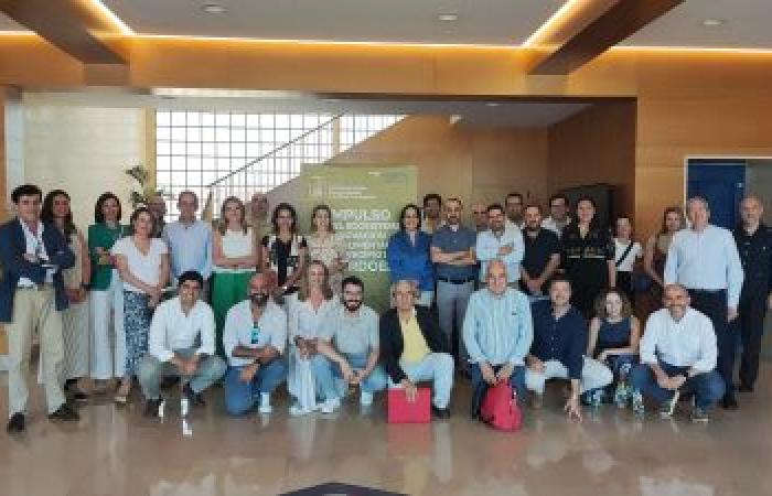 Notizie universitari – Il Forum dell’innovazione agroalimentare di Córdoba nasce per promuovere lo sviluppo del settore, con i mercati del carbonio e l’intelligenza artificiale come temi centrali di questa prima edizione
