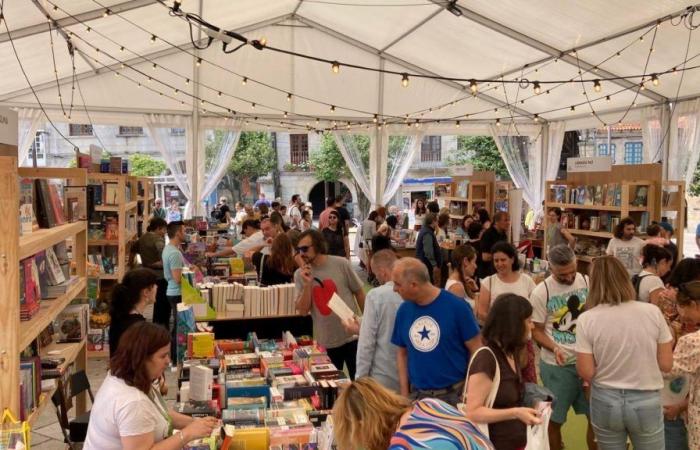 Più di 100 autori si incontreranno alla Festa dos Libros de Pontevedra 2024: consulta il programma