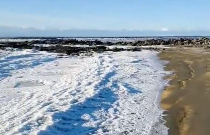 Temperature estreme hanno congelato le onde del mare nella Terra del Fuoco