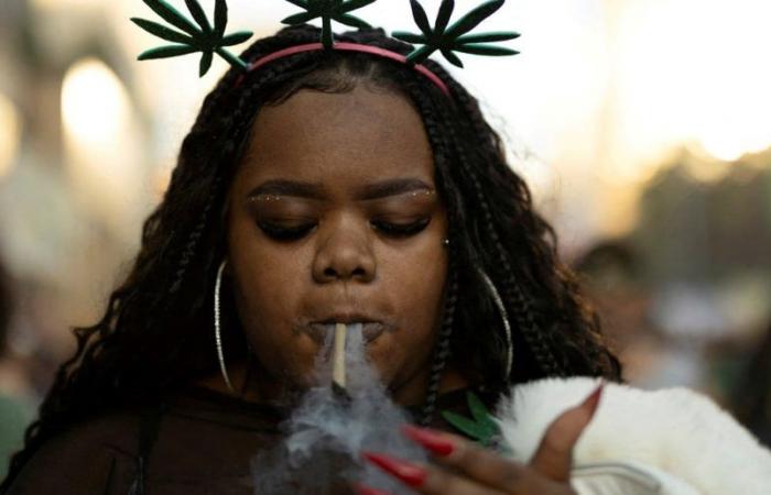 Il Brasile ha deciso di depenalizzare la cannabis per uso personale
