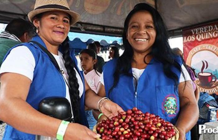 Morales Paradiso del caffè e dell’ecoturismo – Proclama del Cauca