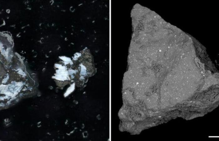 Sorprendente scoperta di fosfato nel campione di asteroide OSIRIS-REx della NASA
