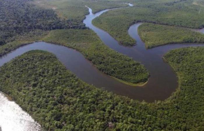 Perché non c’è nessun ponte che attraversa il Rio delle Amazzoni?