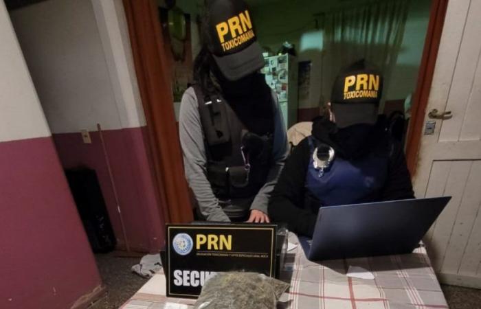 Raid nei quartieri della zona nord di Roca: ritrovati droga e dollari