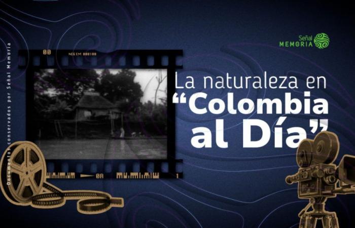 La natura nella “Colombia al Día”