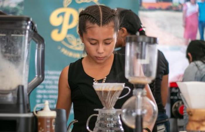 Morales Paradiso del caffè e dell’ecoturismo – Proclama del Cauca