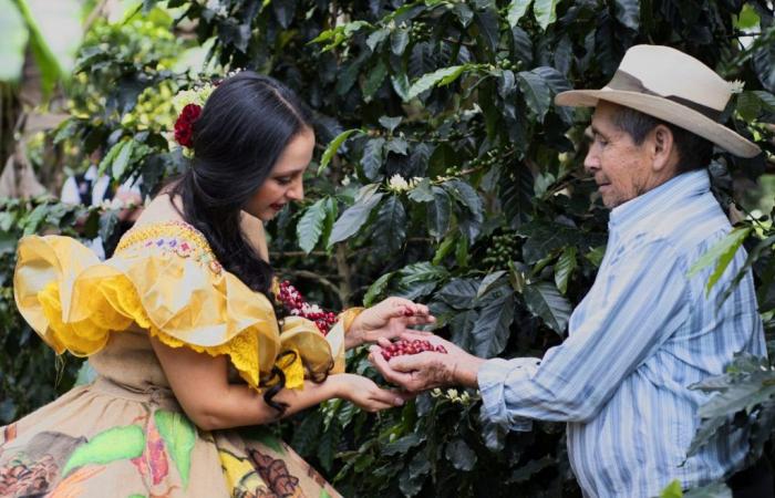 Investimenti con impatto sociale per i coltivatori di caffè di Huila