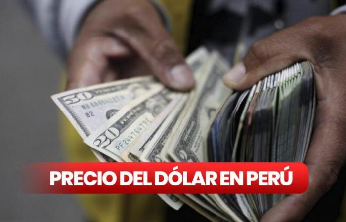 Quotazione del dollaro OGGI in Perù 2024: tasso di cambio per questo 27 giugno in acquisto e vendita, secondo BCR | Dollari a suole | dollaro Bloomberg | da USD a PEN | | prezzo in dollari