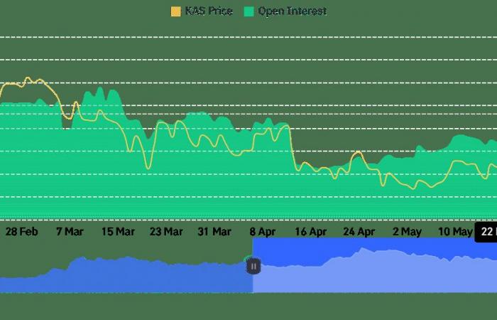Il miner Bitcoin Marathon si sposta su Kaspa: KAS aumenta del 10% in 24 ore