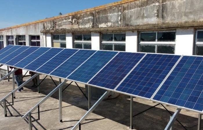 Un college di Santa Fe ha coperto con i suoi pannelli solari il lavoro di 267 alberi per 10 anni