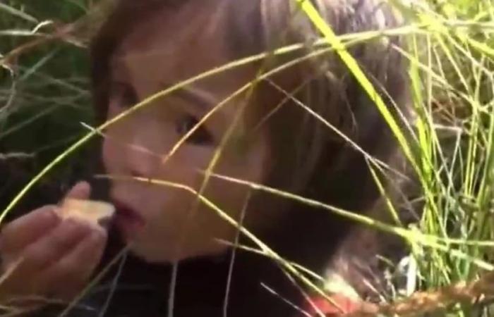 L’incredibile salvataggio di Karina Chikitova, la bambina di 4 anni sopravvissuta 11 giorni nella foresta siberiana con l’aiuto del suo cane