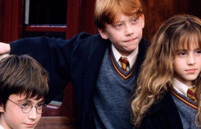 Ciò che si sa finora della serie Harry Potter di Max