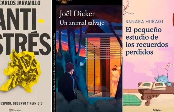 Cosa leggere questa settimana: una guida antistress, Joël Dicker e il nuovo fenomeno delle lettere giapponesi
