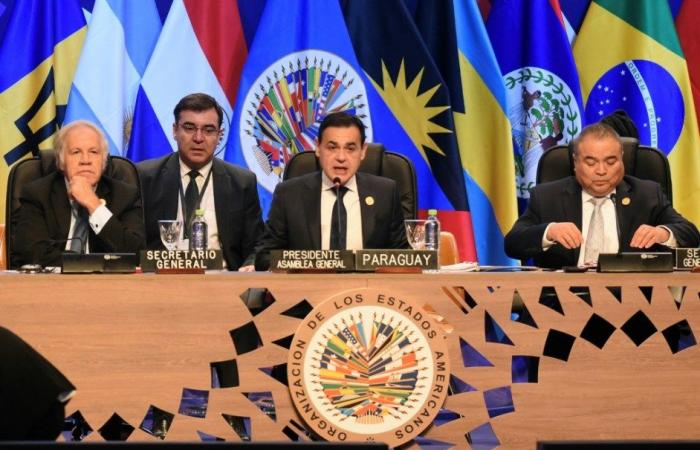 L’OAS ripudia il tentativo di colpo di stato in Bolivia e affronta le crisi in Nicaragua e Haiti