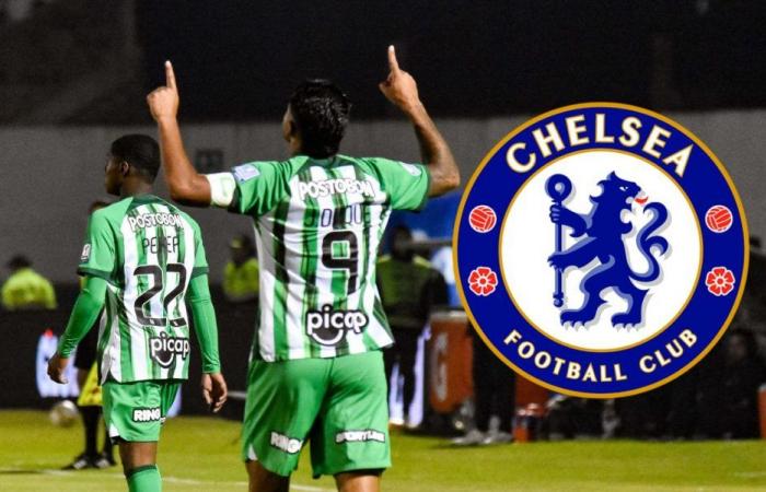 Il Chelsea ha preso un altro colombiano e non è Jhon Durán: lo ha pagato 5 milioni