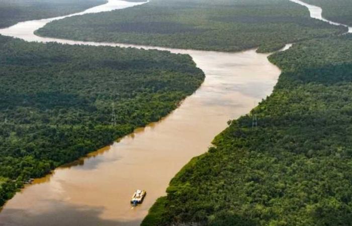 Perché non c’è nessun ponte che attraversa il Rio delle Amazzoni?
