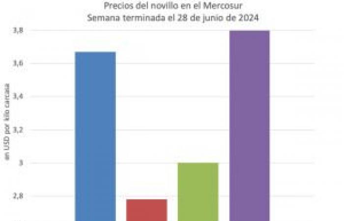 cambiamenti minimi nel Mercosur e nuovo record negli Stati Uniti – Valor Carne