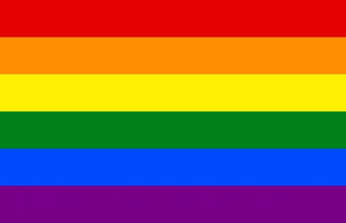 Cosa significa LGBTIQ+ e cosa simboleggiano le diverse bandiere all’interno della comunità?