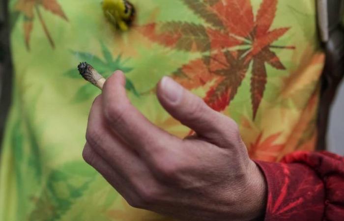 Il Brasile depenalizza il possesso e il consumo di marijuana per uso personale